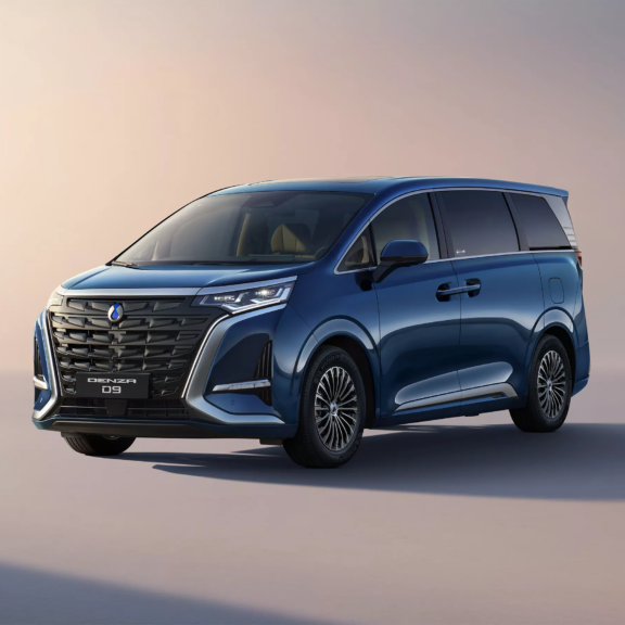 Denza D9 DM-i photo studio